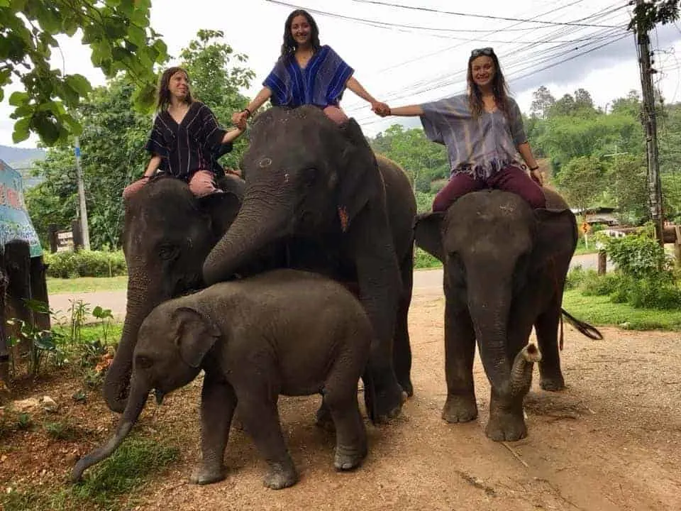 Patara Elephant Farm Girls