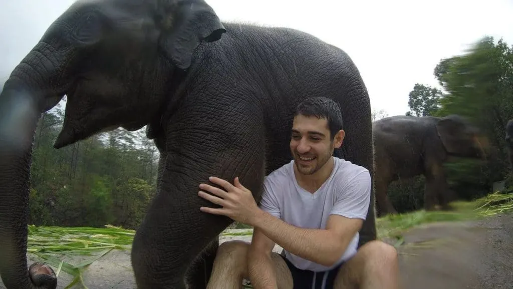 Patara Elephant Farm Playful