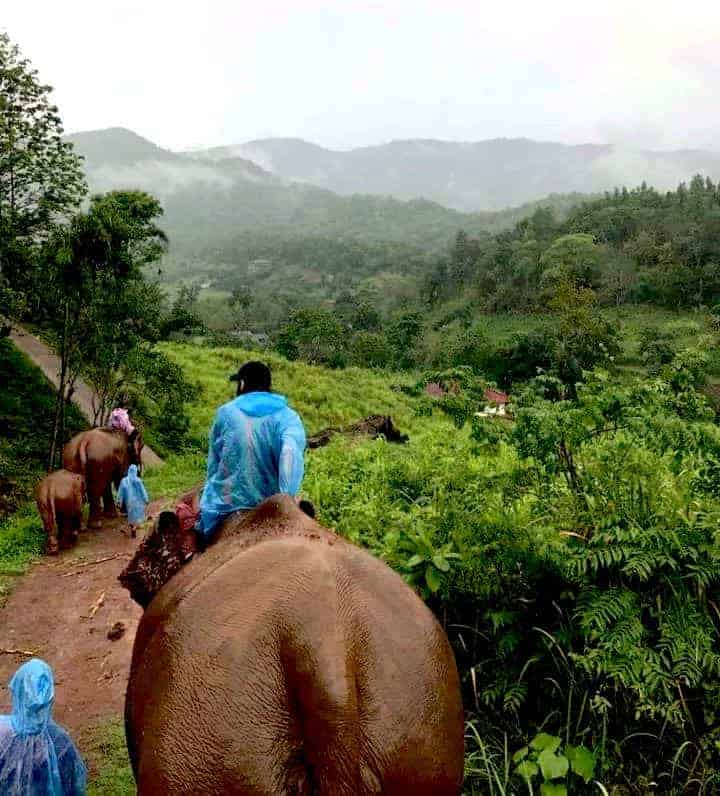 Patara Elephant Farm Riding
