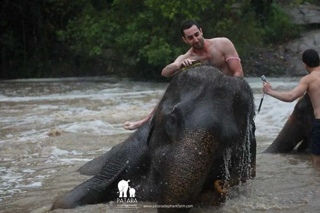 Patara Elephant Farm River