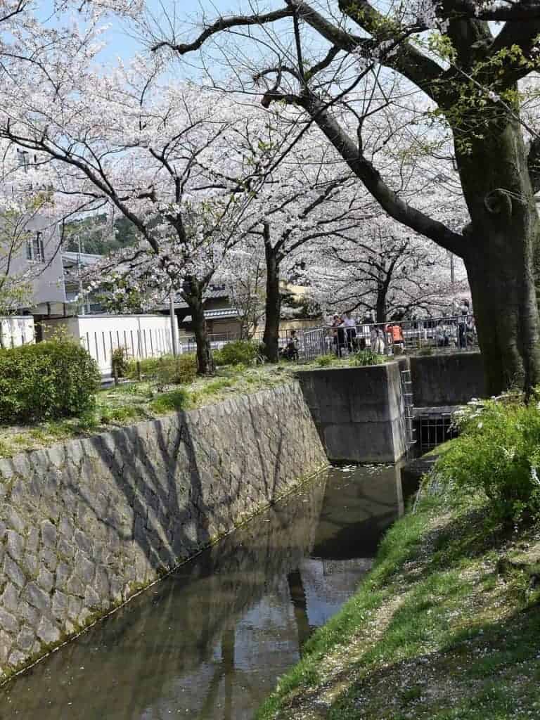 Philosophers Path Kyoto