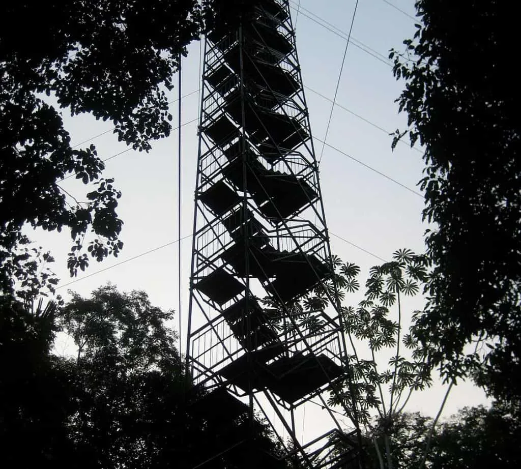 Refugio Amazonas Canopy Tower
