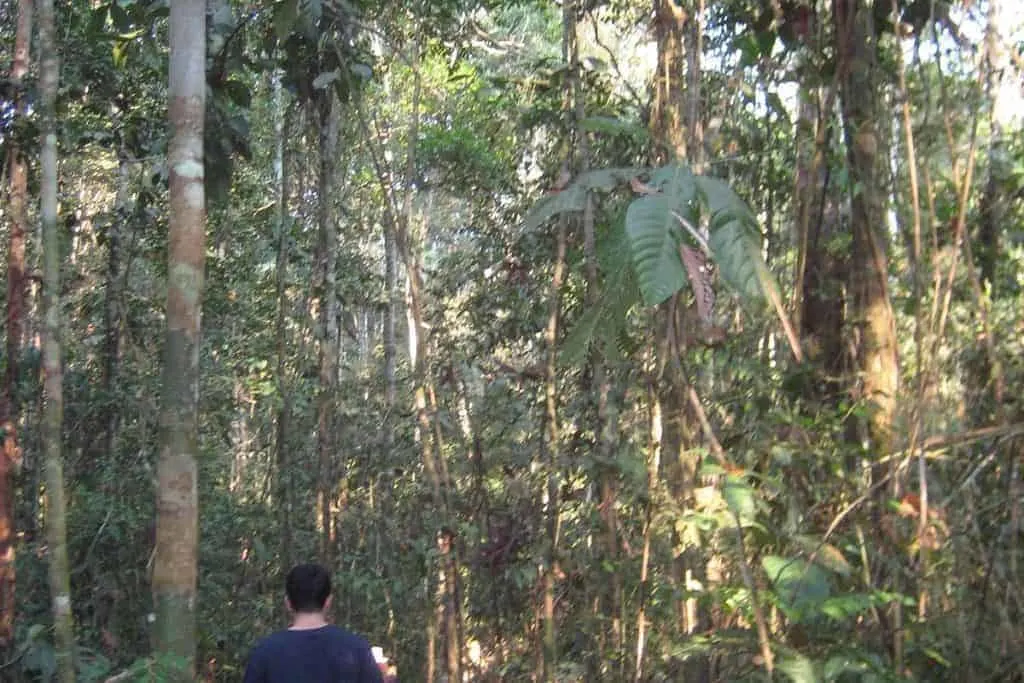 Refugio Amazonas Trek