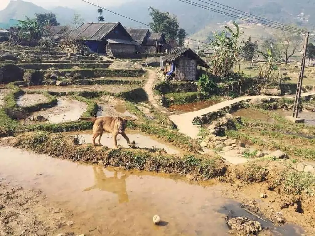 Sapa Village