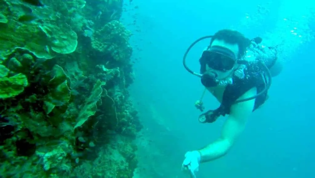 Scuba Diving Koh Tao 1