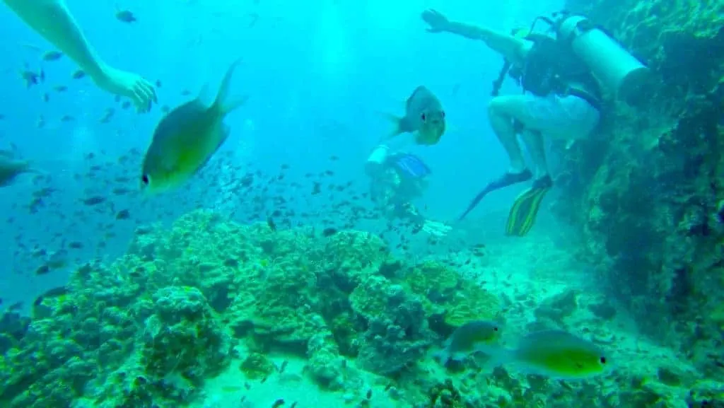 Scuba Diving Koh Tao 7