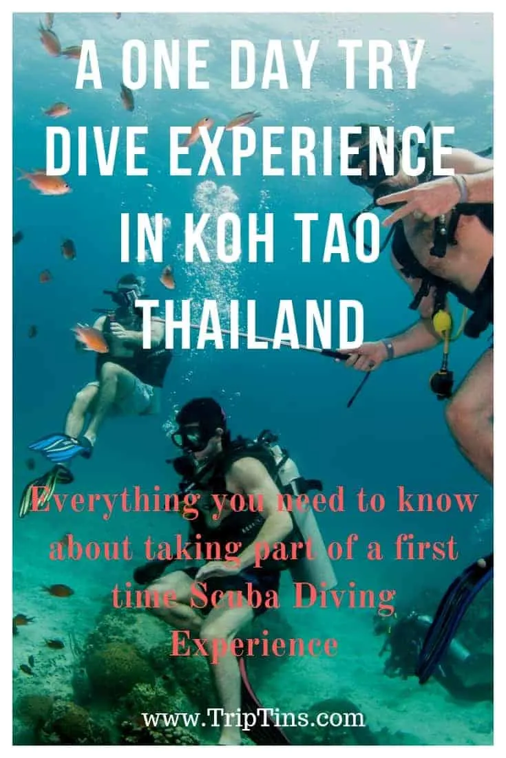 Try Dive Koh Tao
