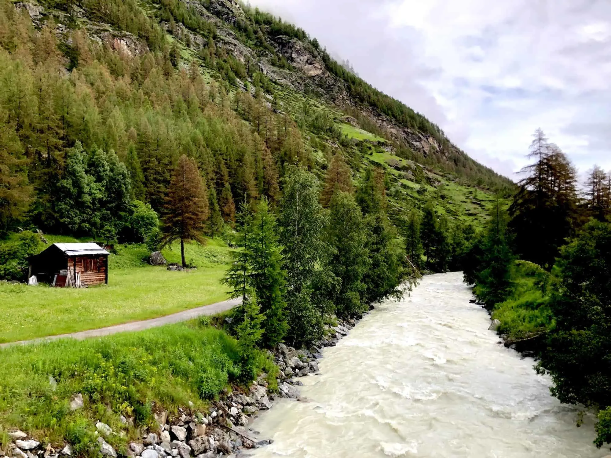 Swiss Train View