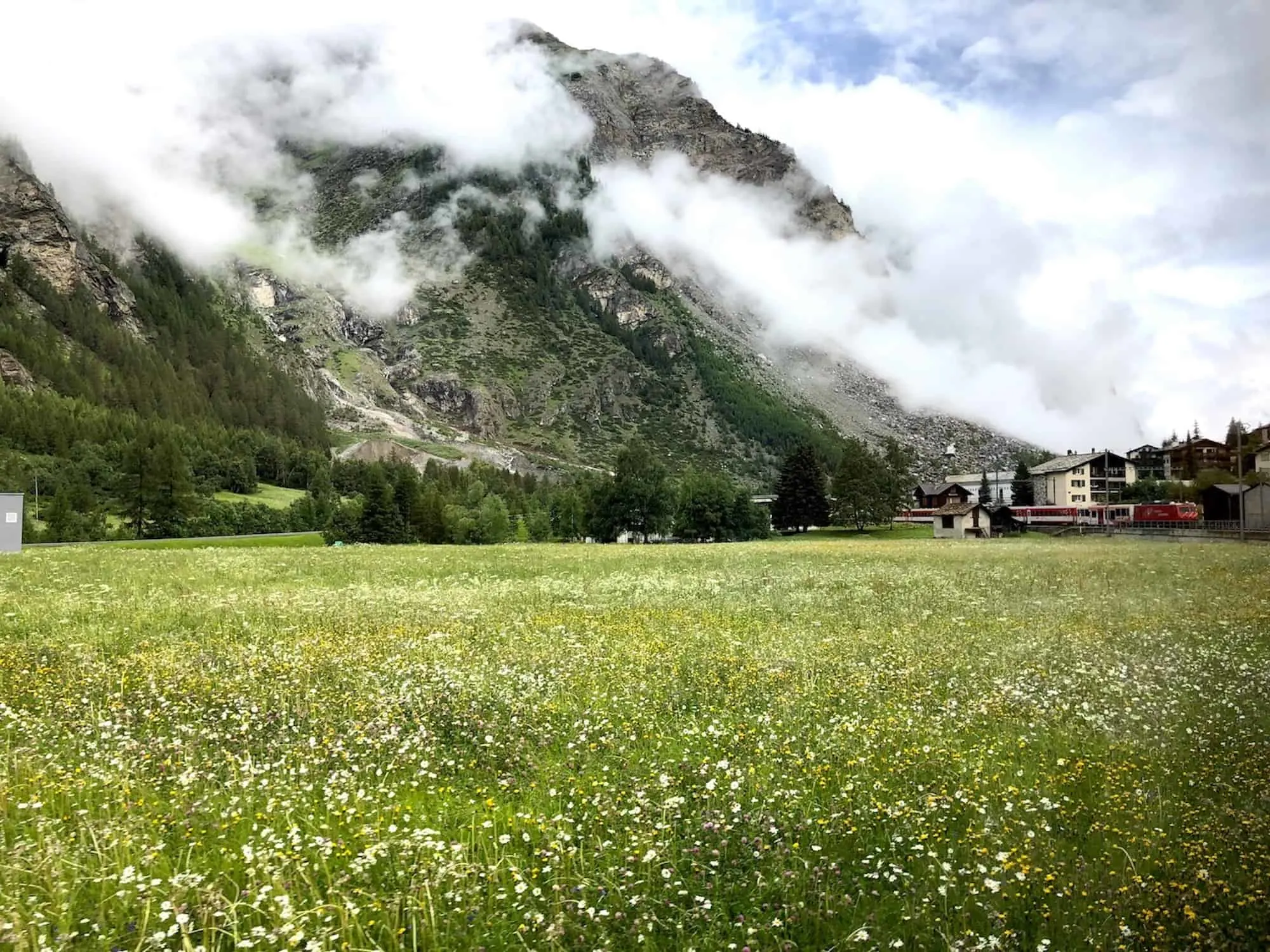 Swiss Train View 2