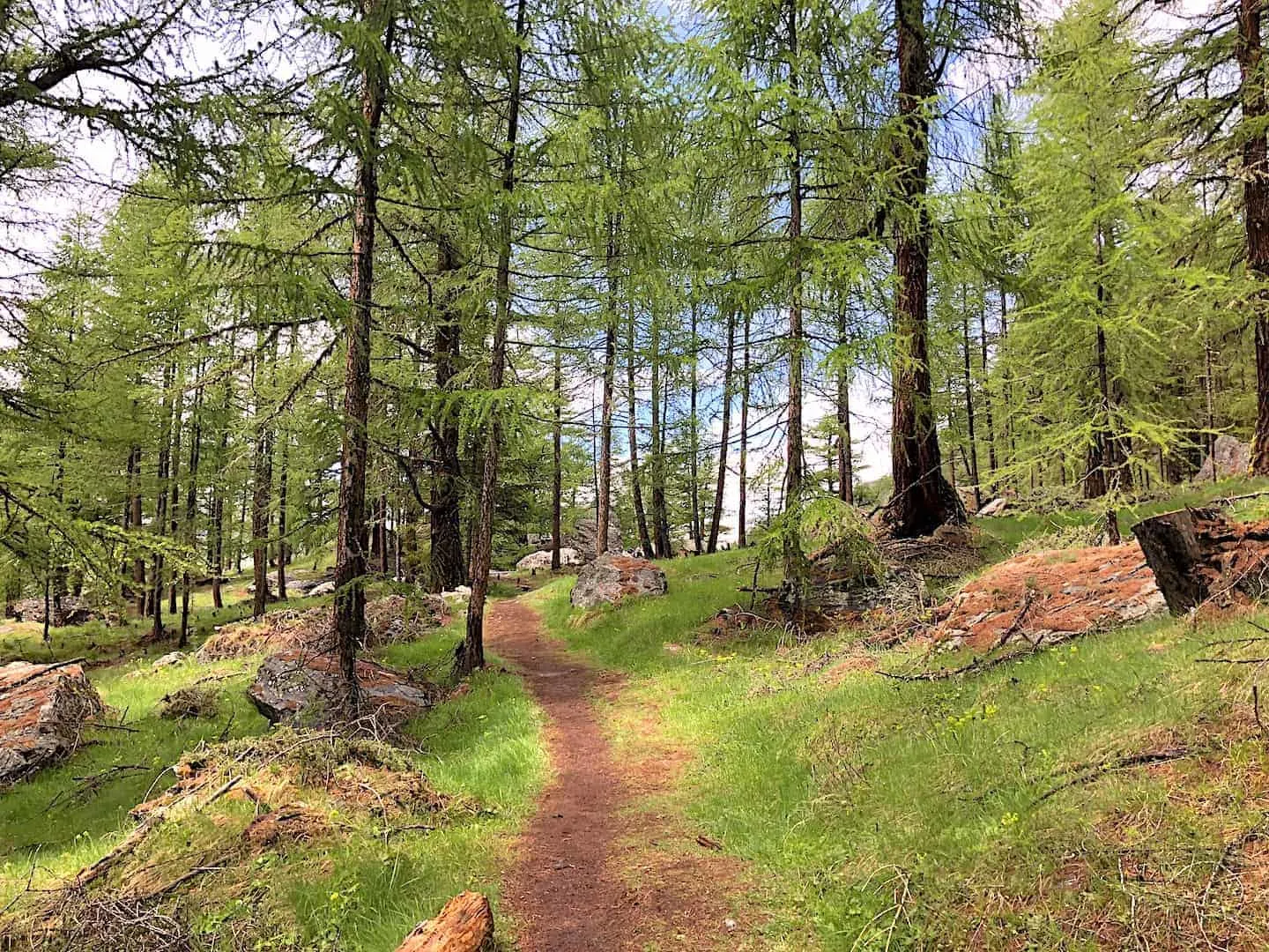 Charles Kuonen Suspension Bridge Trail