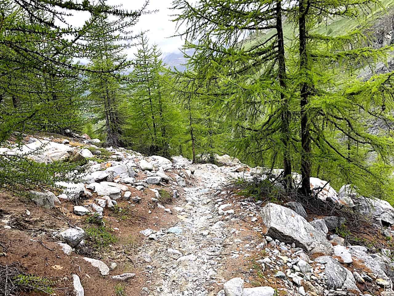 Five Lakes Hike Switchback Trail