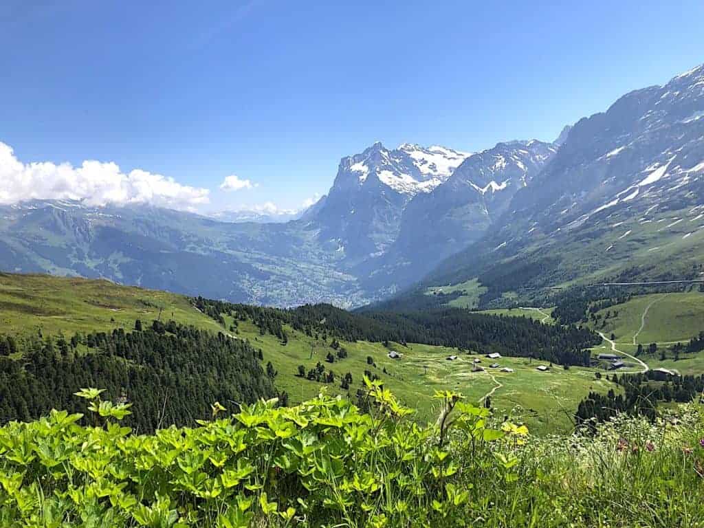 The Mannlichen to Kleine Scheidegg Hike | Panorama Trail | 2023 Update