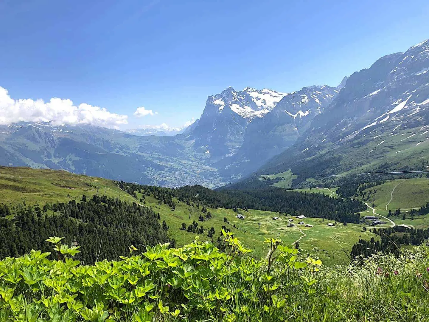 Amazing Mountain Ridge View From The Mannlichen Station