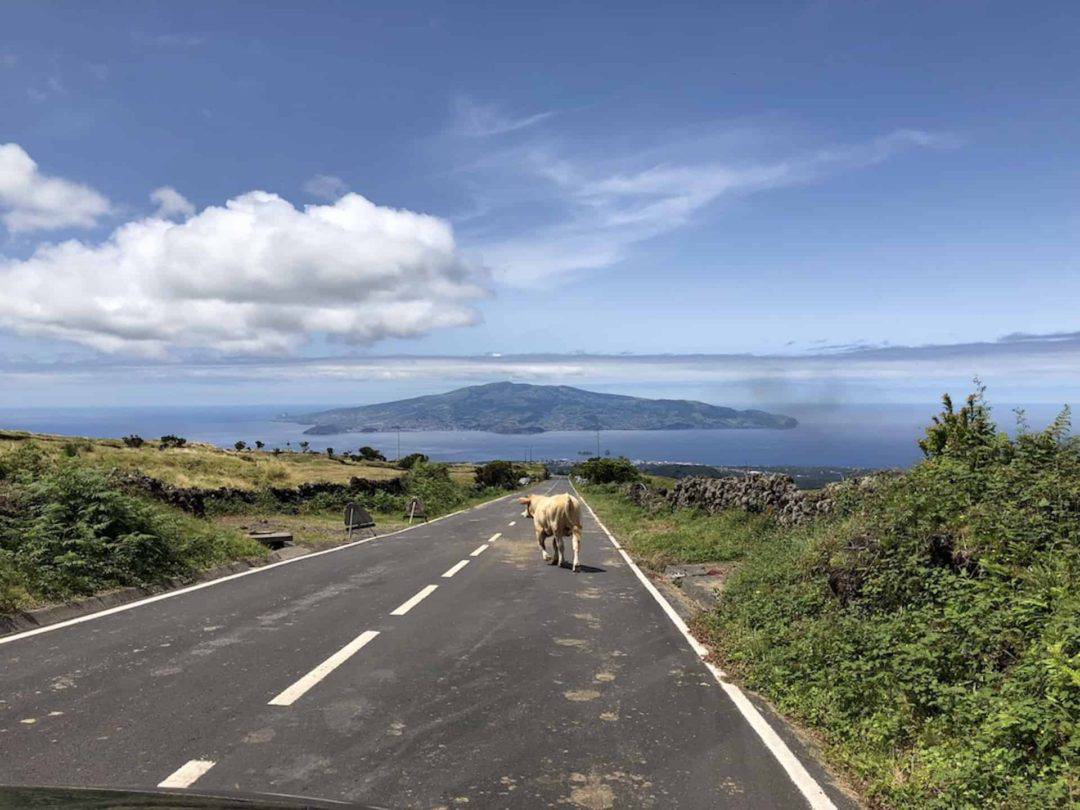 Driving in the Azores Azores Car Rentals A Complete Guide TripTins