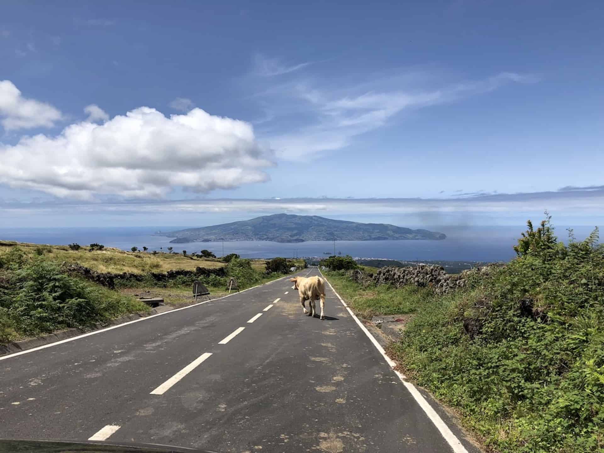Driving in the Azores –  A Guide to Car Rentals & More