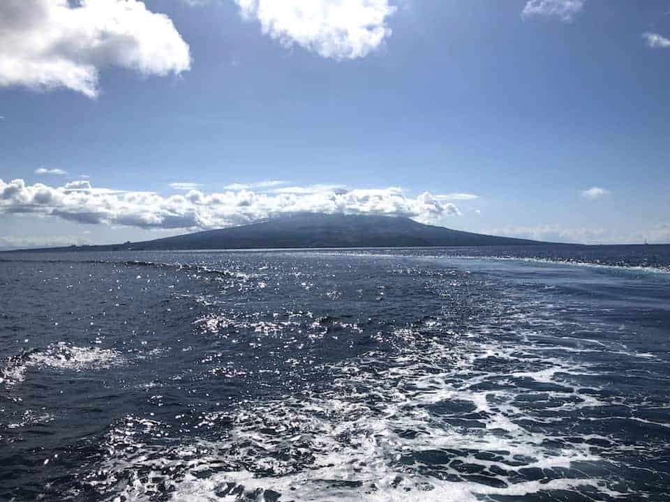 Azores Ferry Pico View