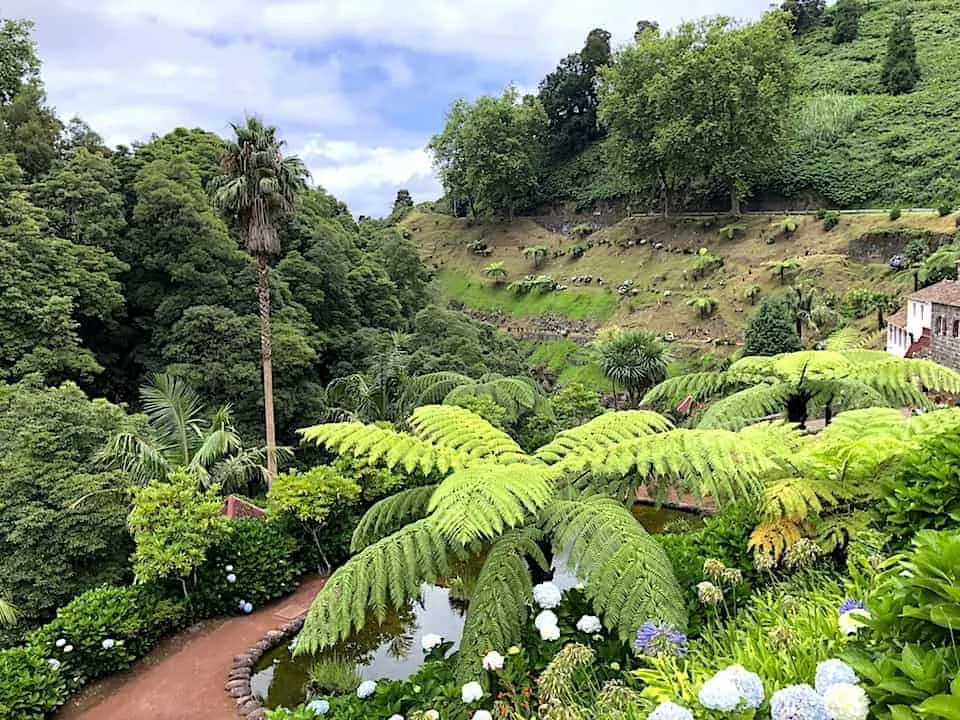 Azores Nature