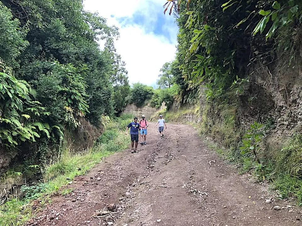 Mata do Canario Sete Cidades Hike Dirt Path