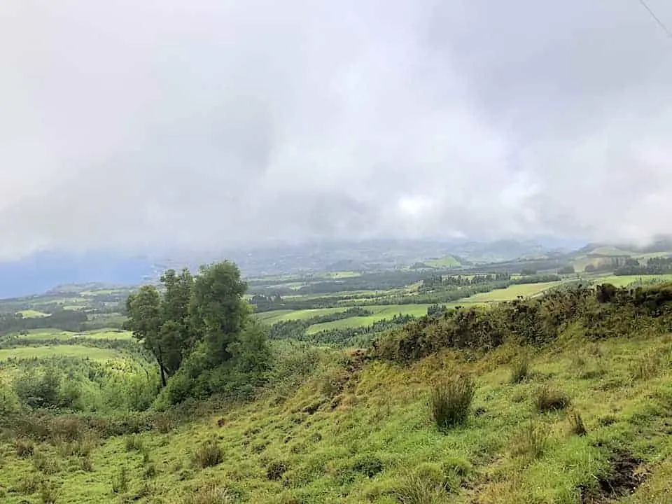 Mata do Canario Sete Cidades Hike Greenery