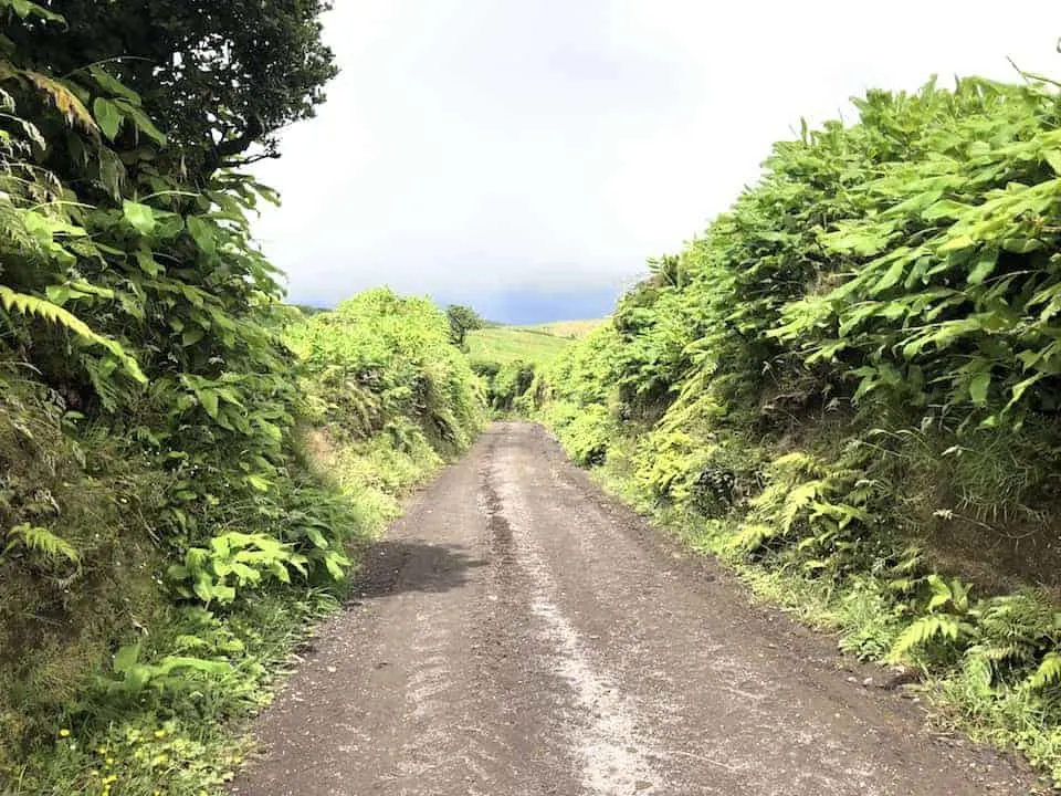 Mata do Canario Sete Cidades Hike Path