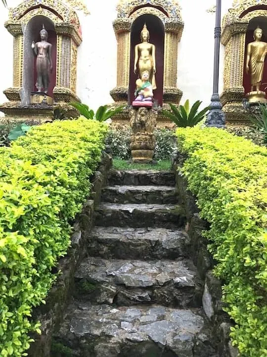 Doi Suthep Gardens