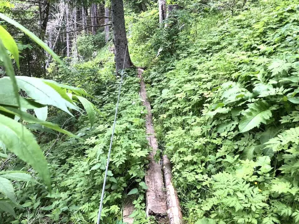 Via Ferrata Forest Murren