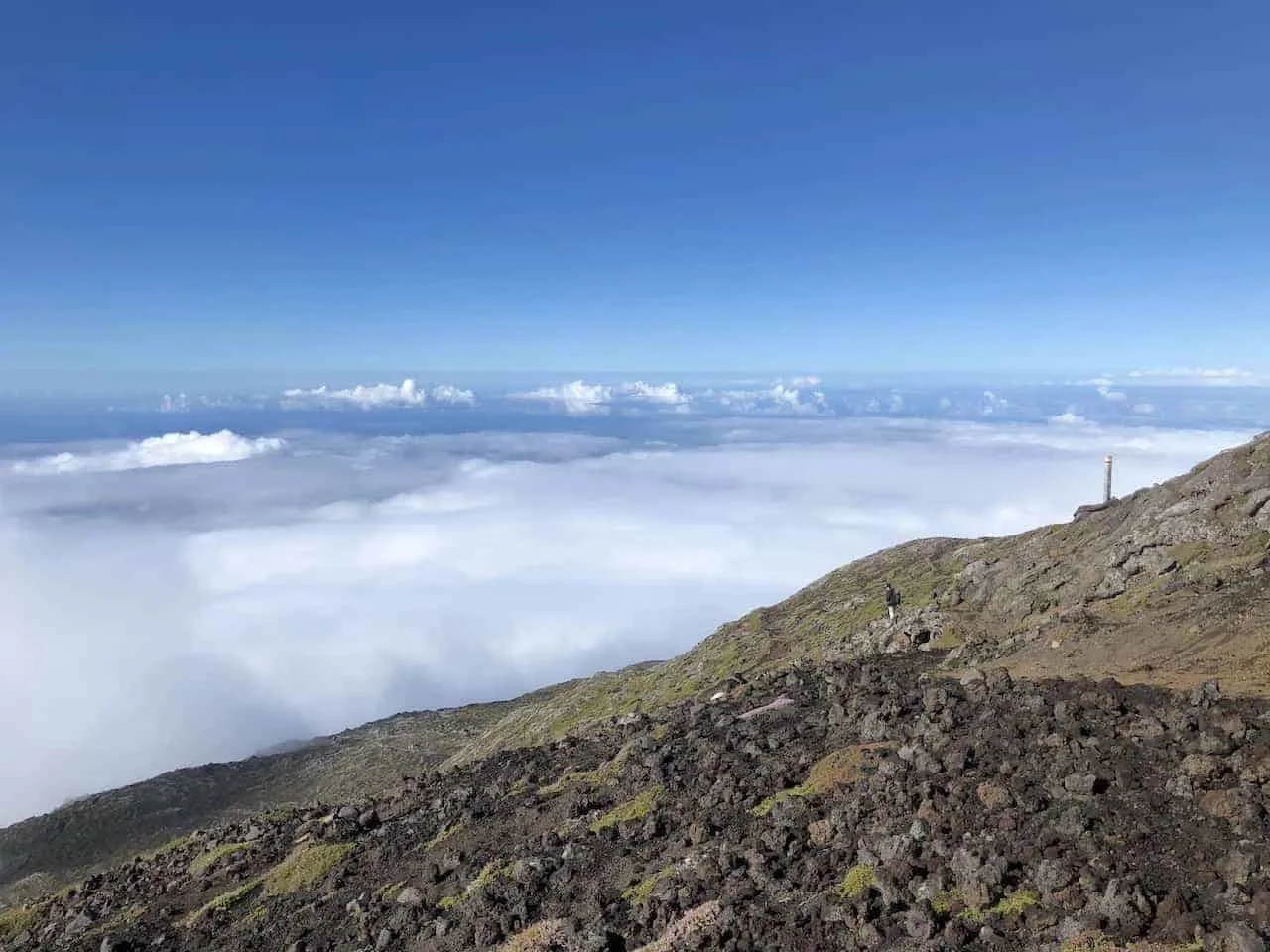 Above the Clouds Mount Pico