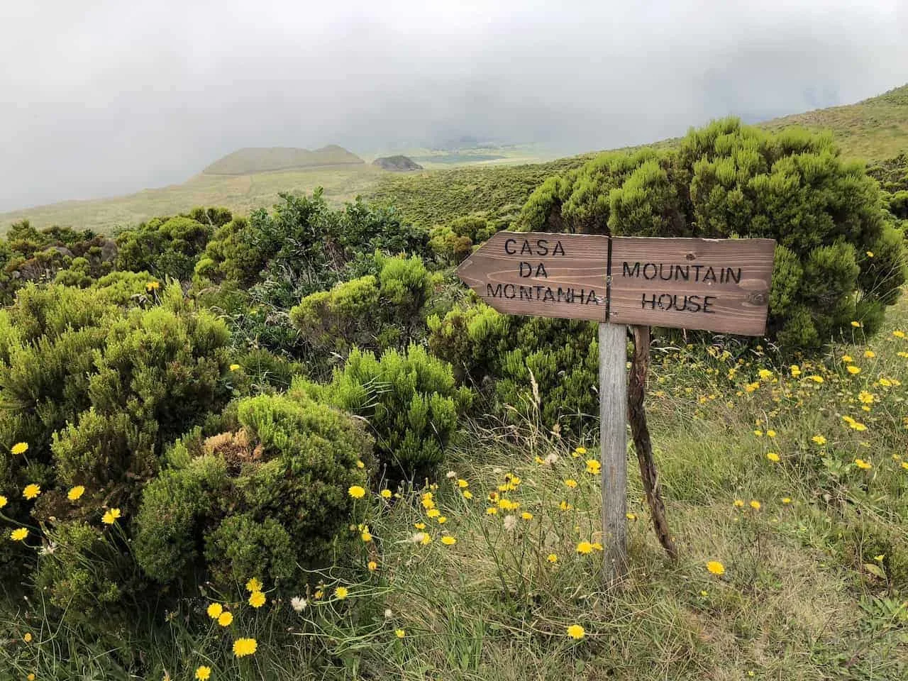 End of Mount Pico Trail