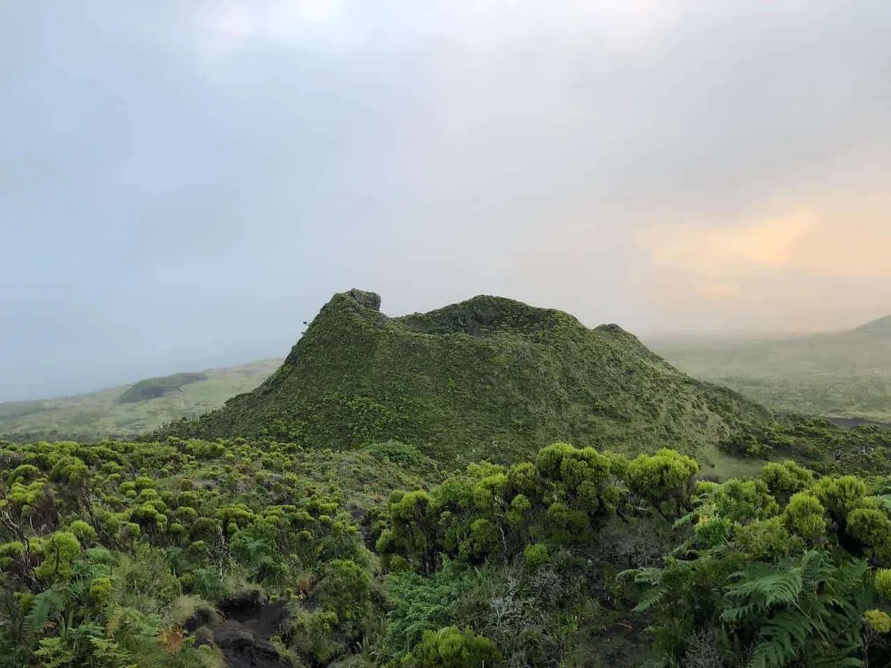 Mount Pico Hike Greenery