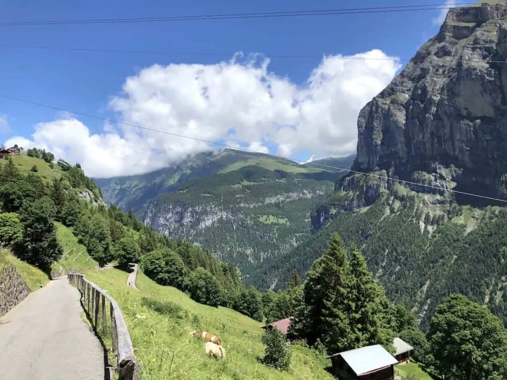 Gimmelwald Path