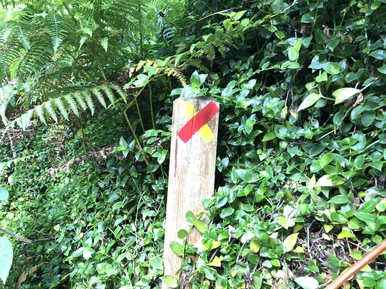 Hiking in the Azores Wrong Way