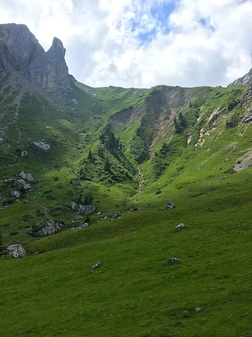 Mount Pilatus Greenery