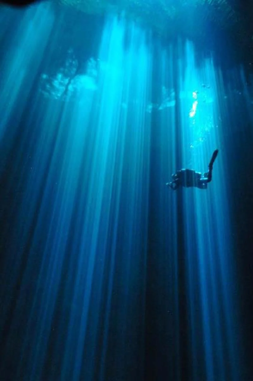 Cenote Diving Cancun