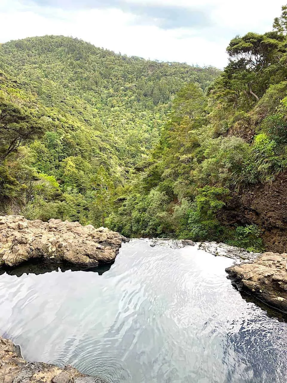 Kitekite Waterfall Walk