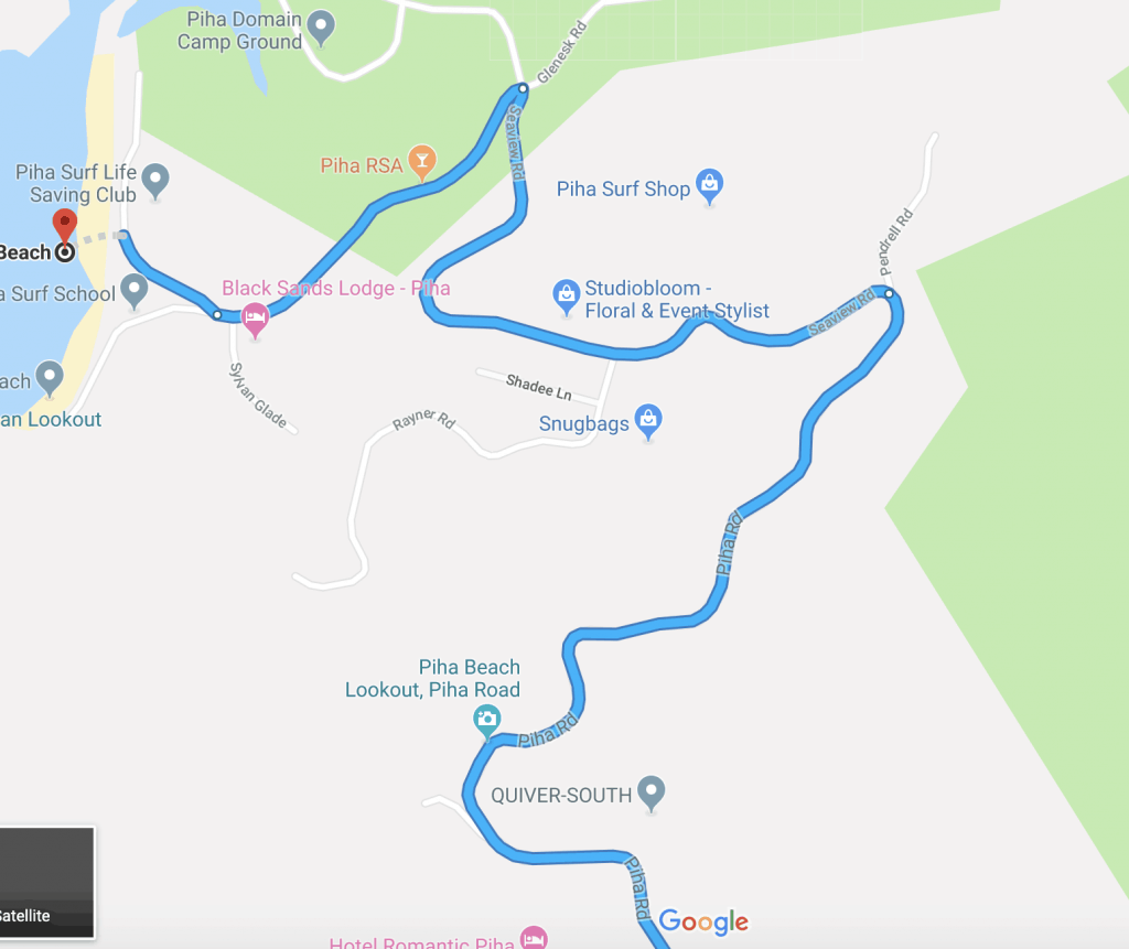 The 7 BEST Walks in the Waitakere Ranges (Beaches, Trails & Waterfalls)