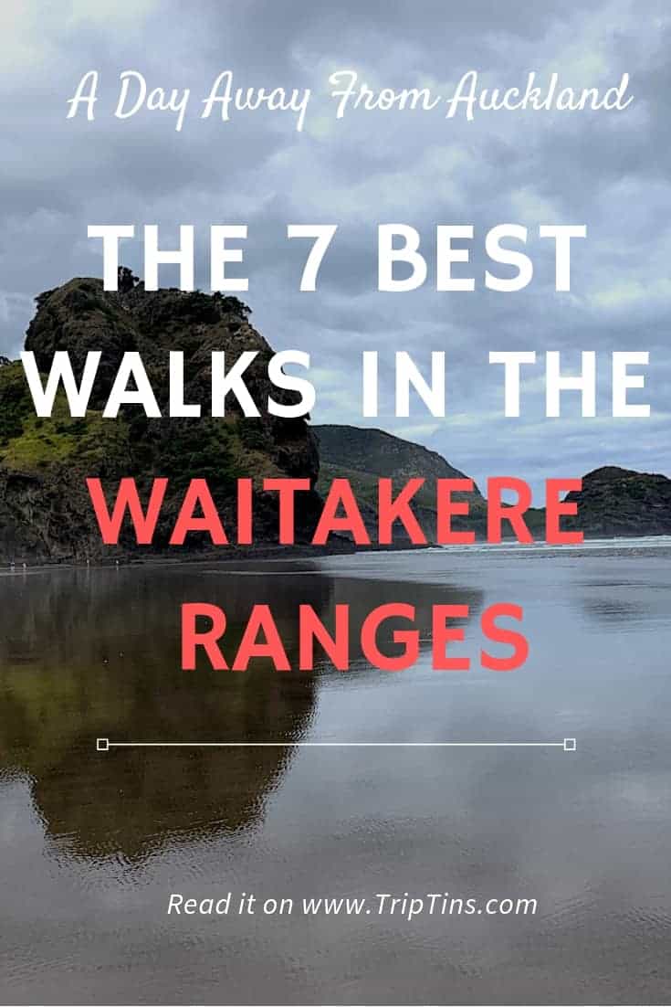 Walks in the Waitakere Ranges