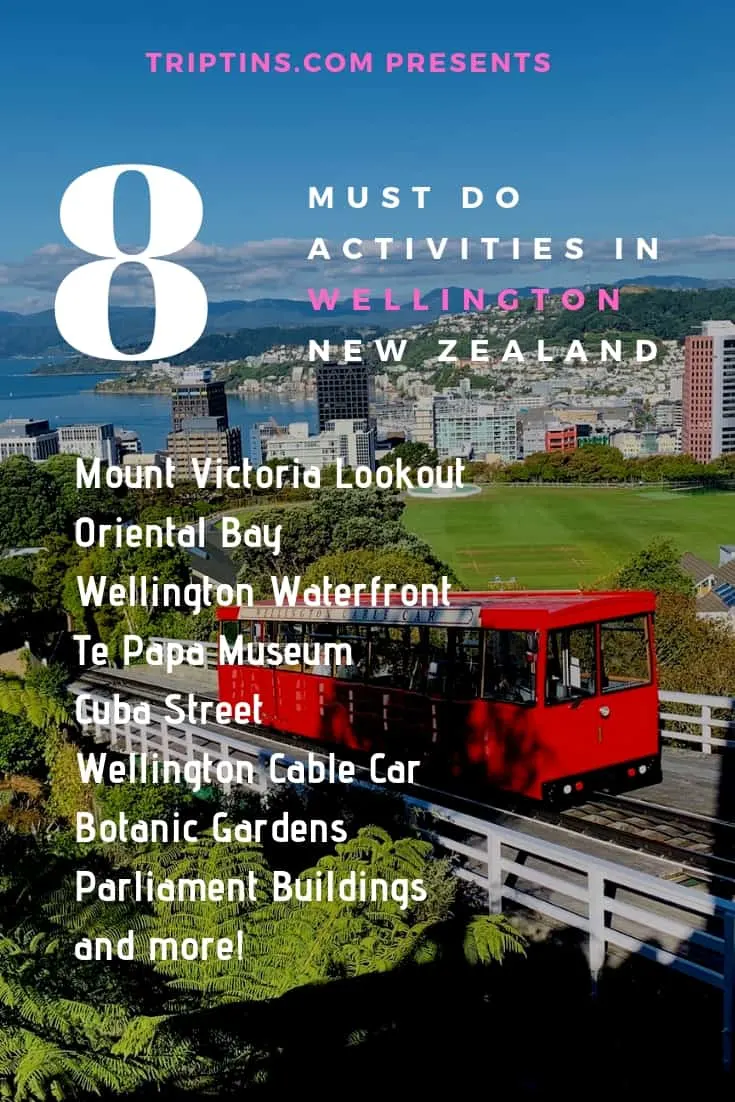 Wellington Activities