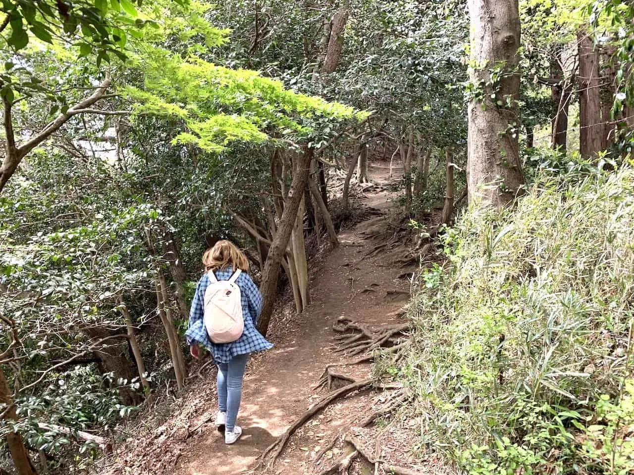 Hiking Trails - Kamakura Travel