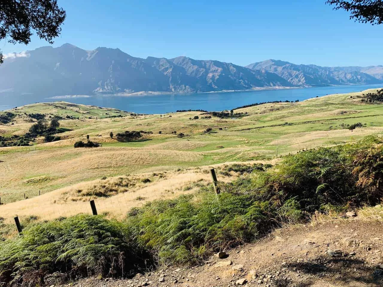 Isthmus Peak Farmland