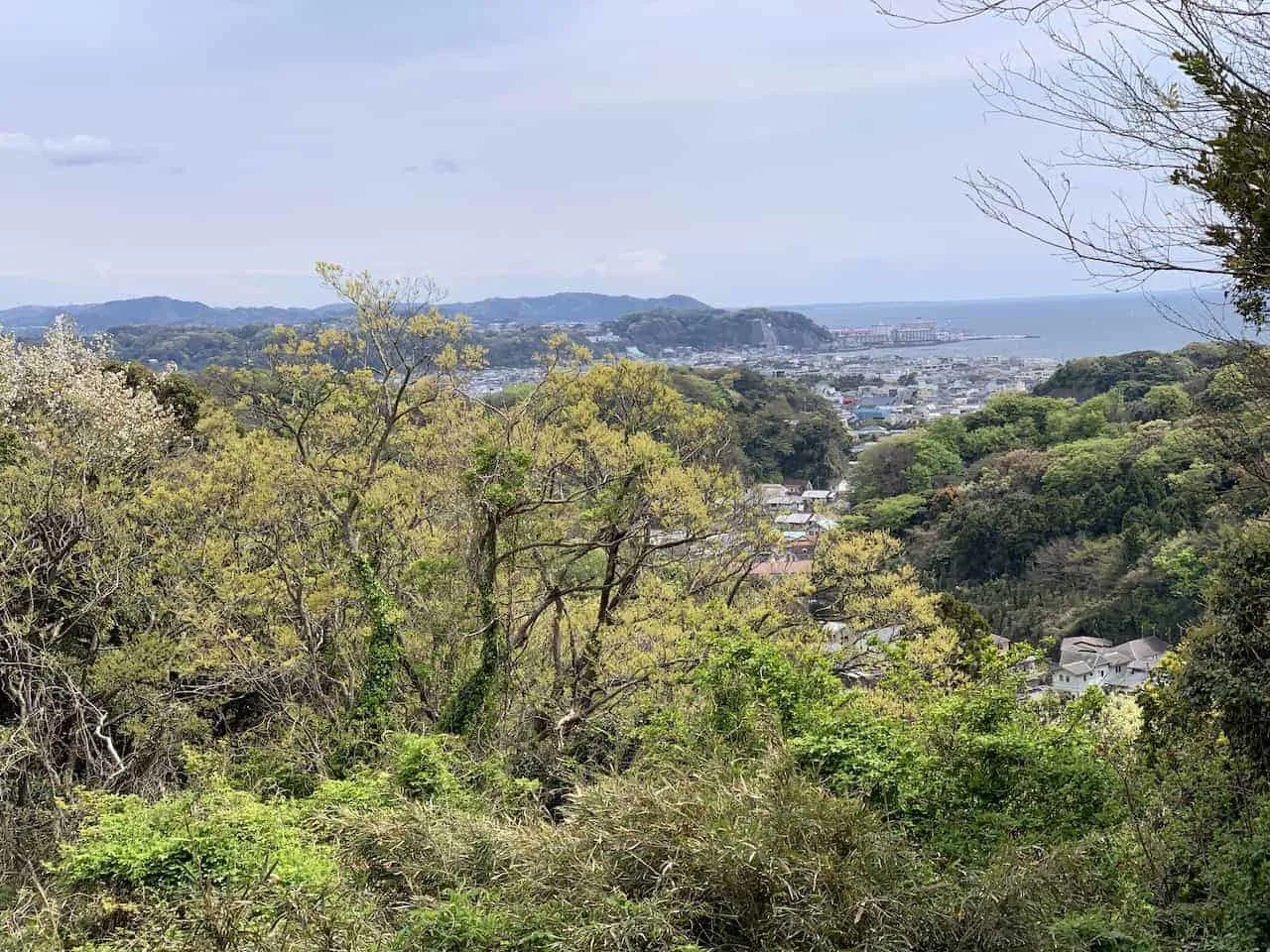 Kamakura Forest Views