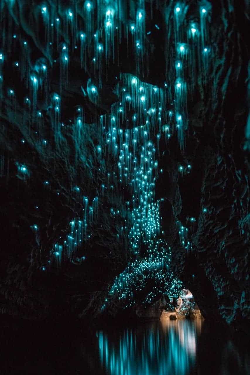 Waitomo Glowworm Caves