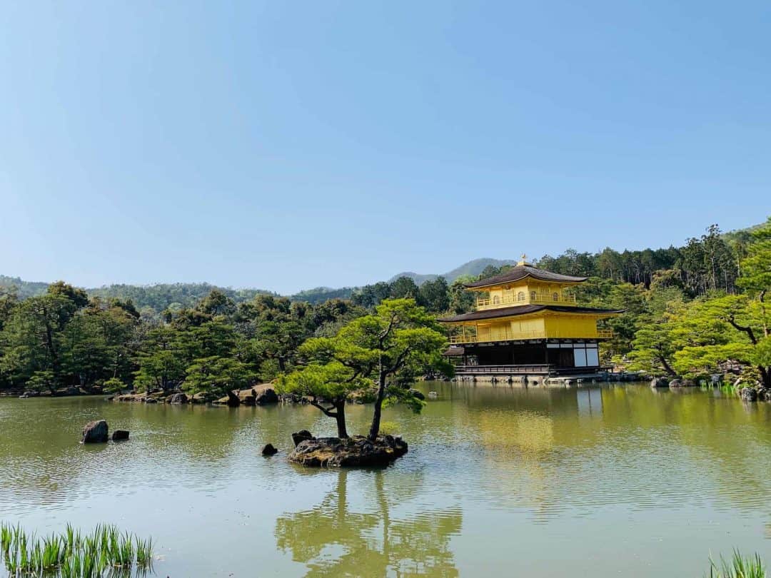 A DETAILED Kyoto Itinerary 3 Days | Temples, Day Trips, Logistics & More