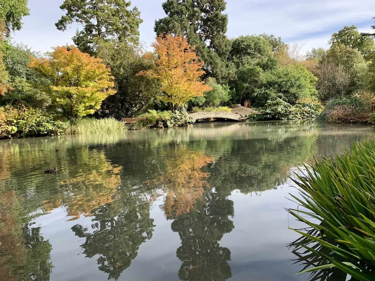 Christchurch Gardens