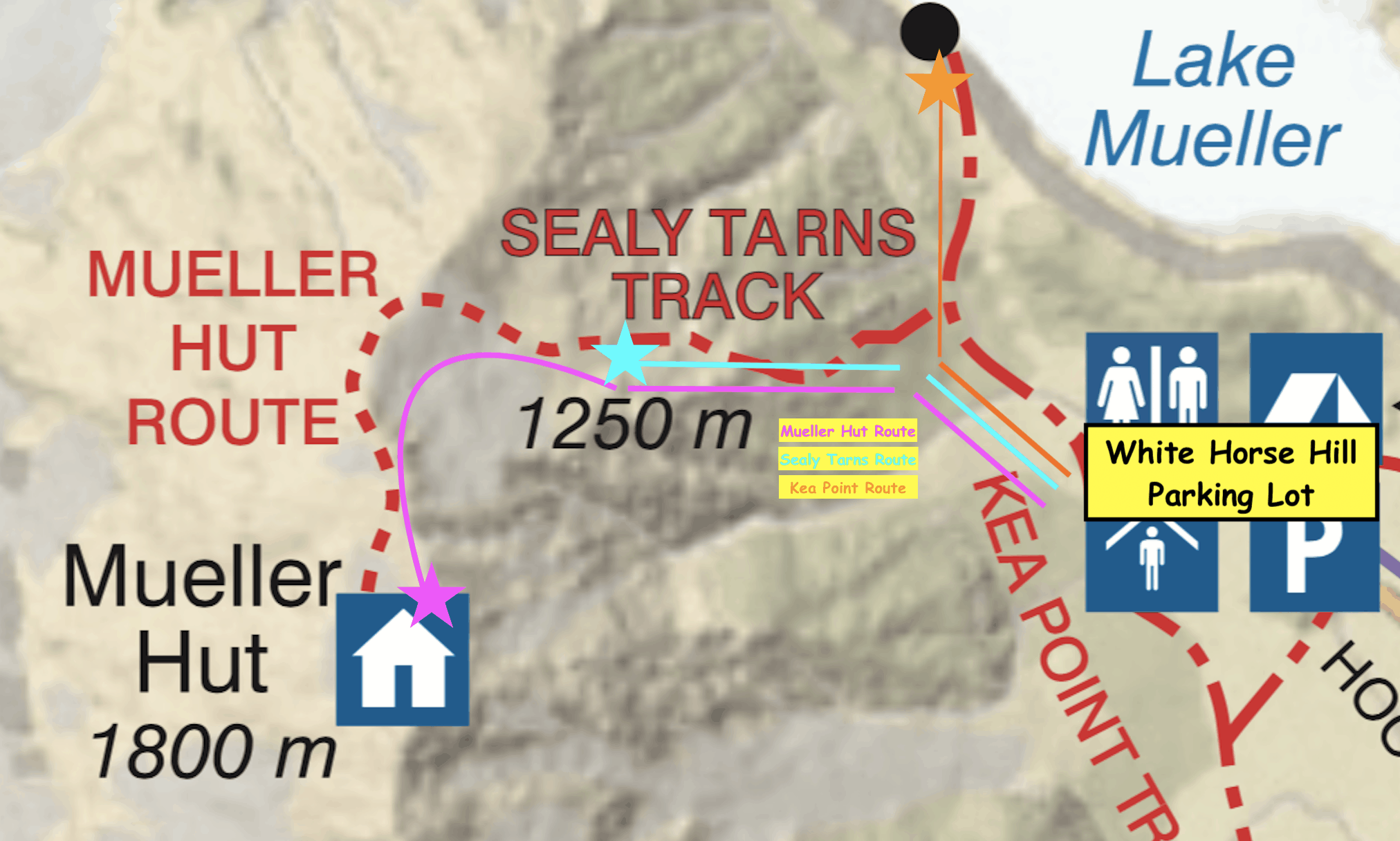 Mueller Hut Route