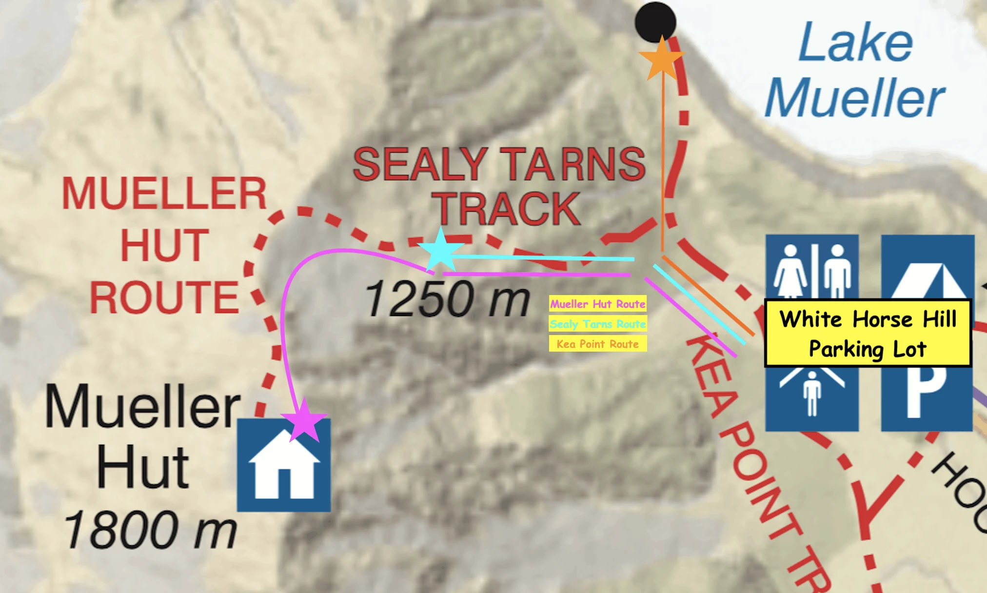 Mueller Hut Route