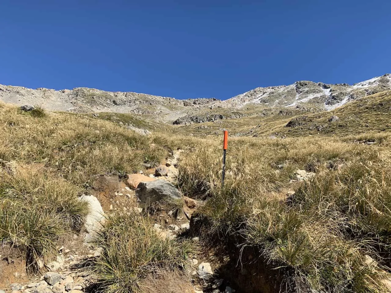 Mueller Hut Trail