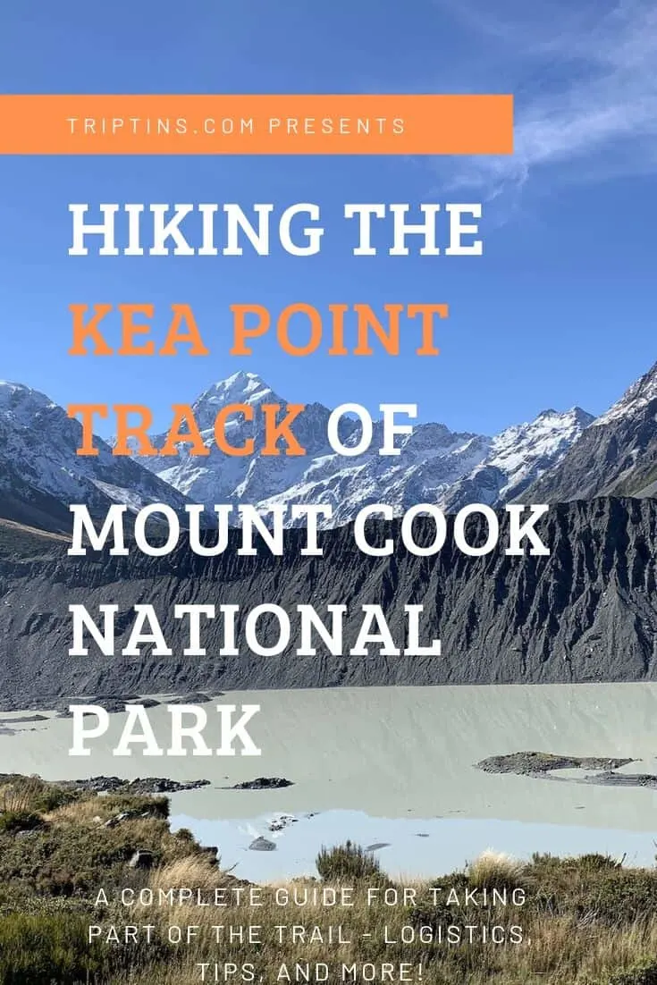 Kea Point Track