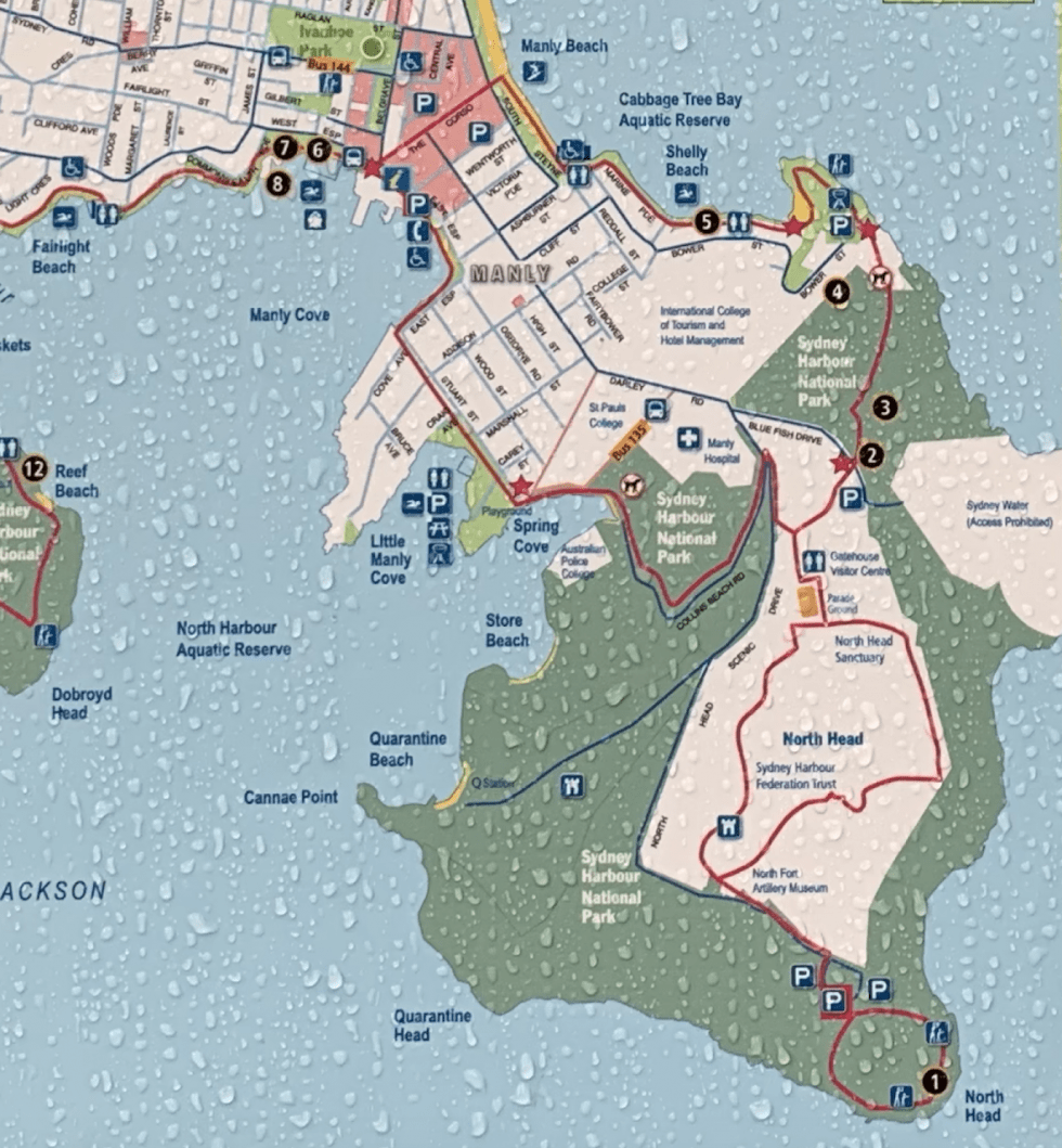 The Spit Bridge to Manly Walk | EVERYTHING YOU NEED TO KNOW