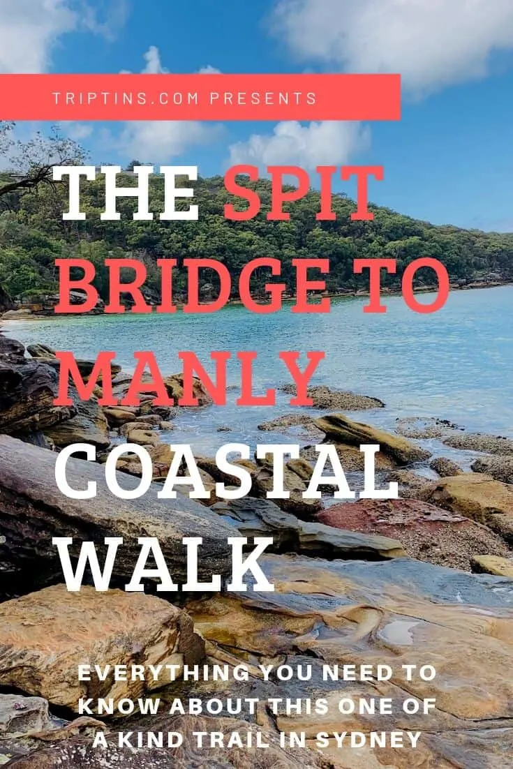 Spit Bridge to Manly Walk