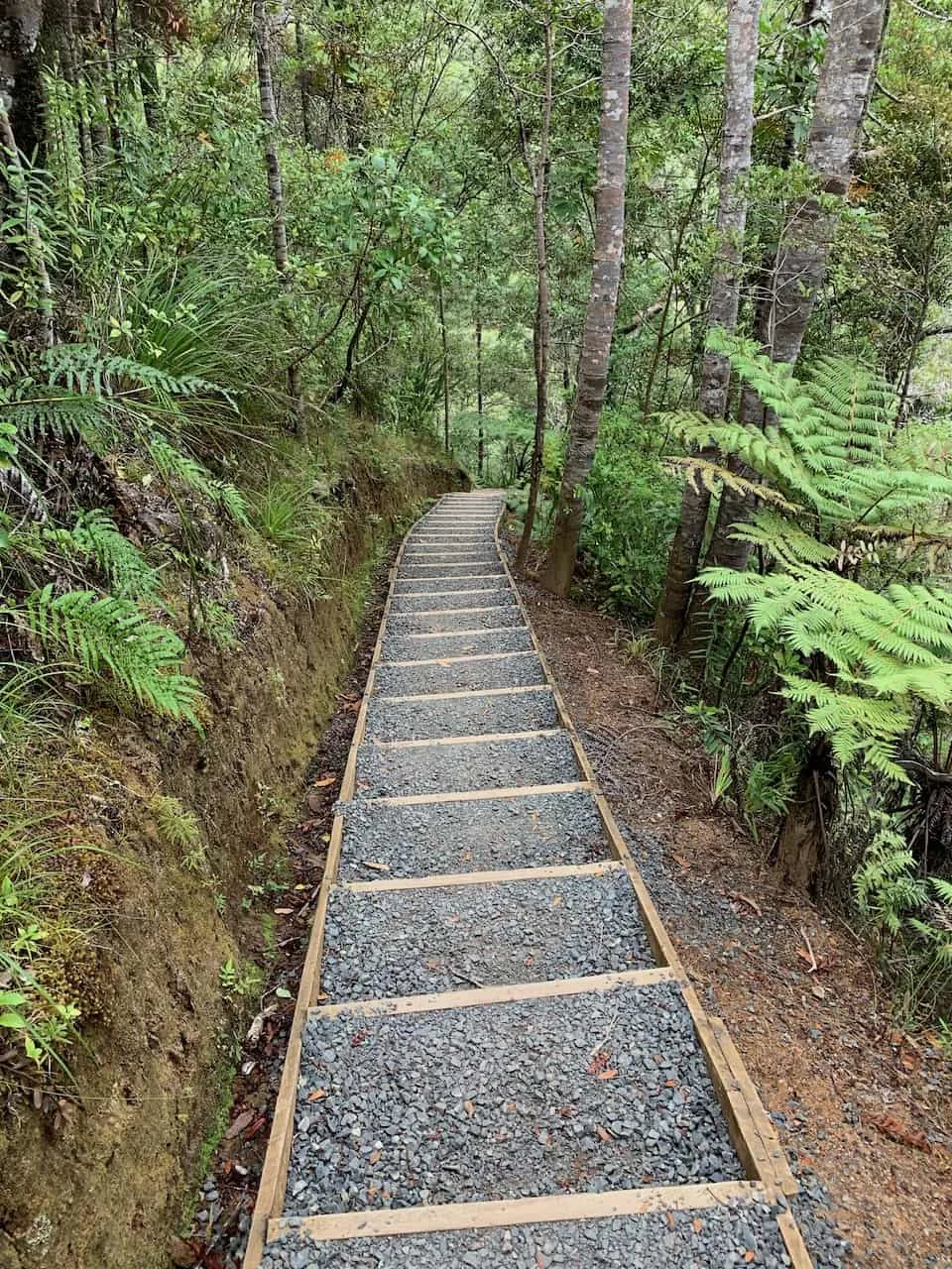 Stairs to Top of Kitekite Falls